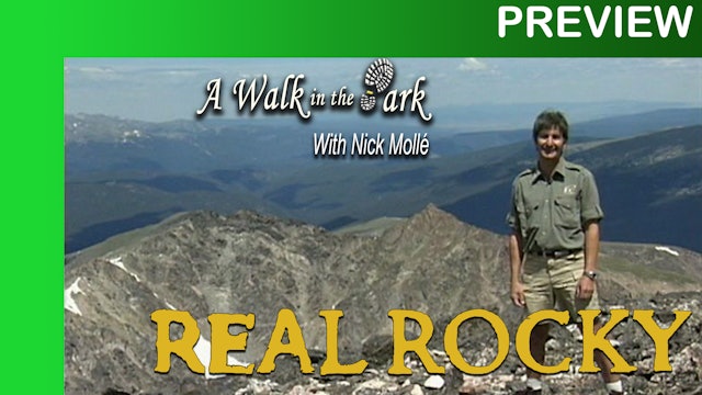 PREVIEW: Real Rocky