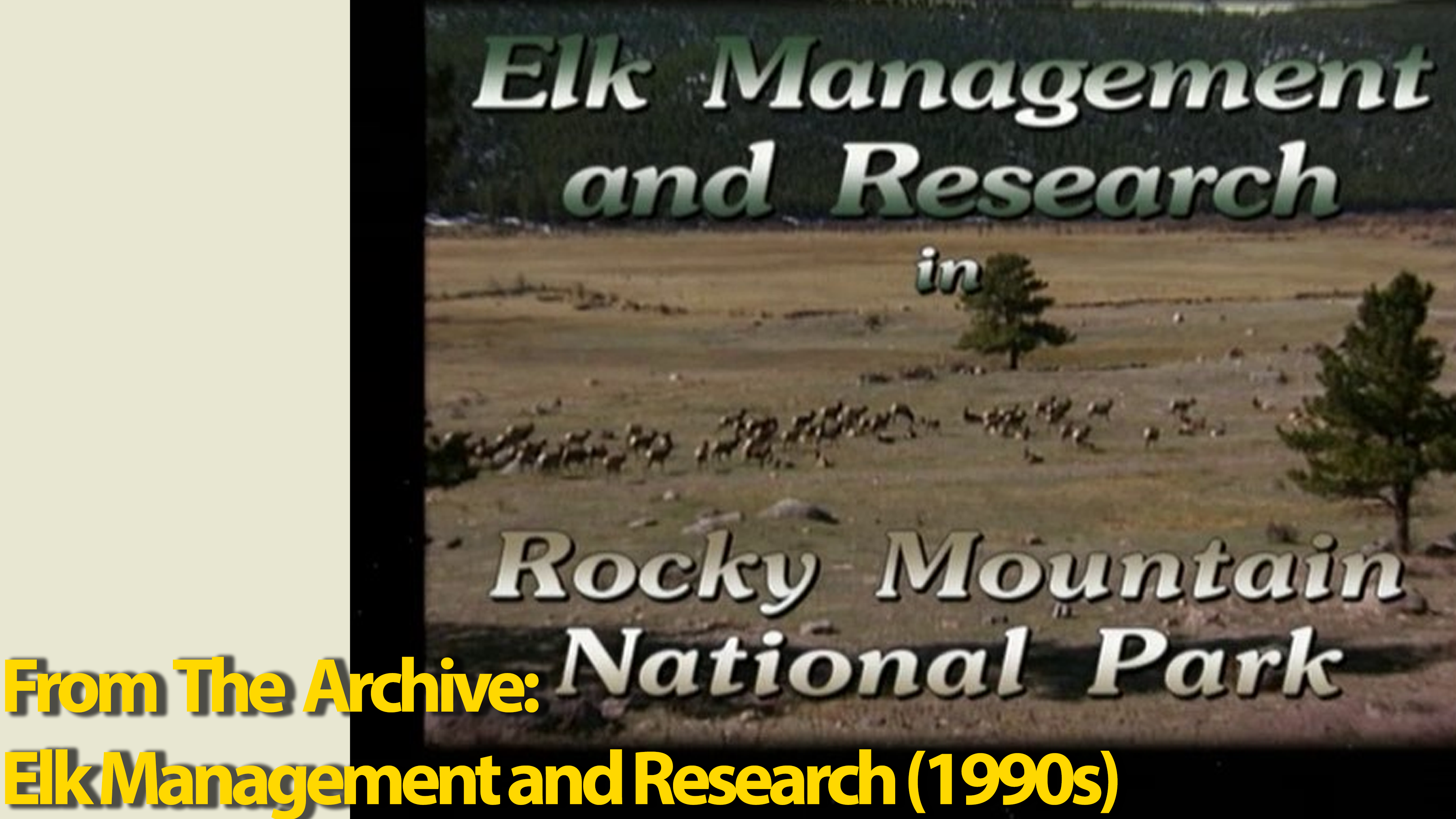 Archive: Elk Management and Research