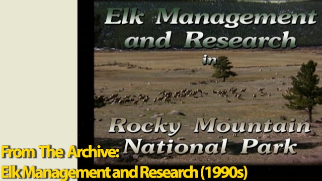 Archive: Elk Management and Research