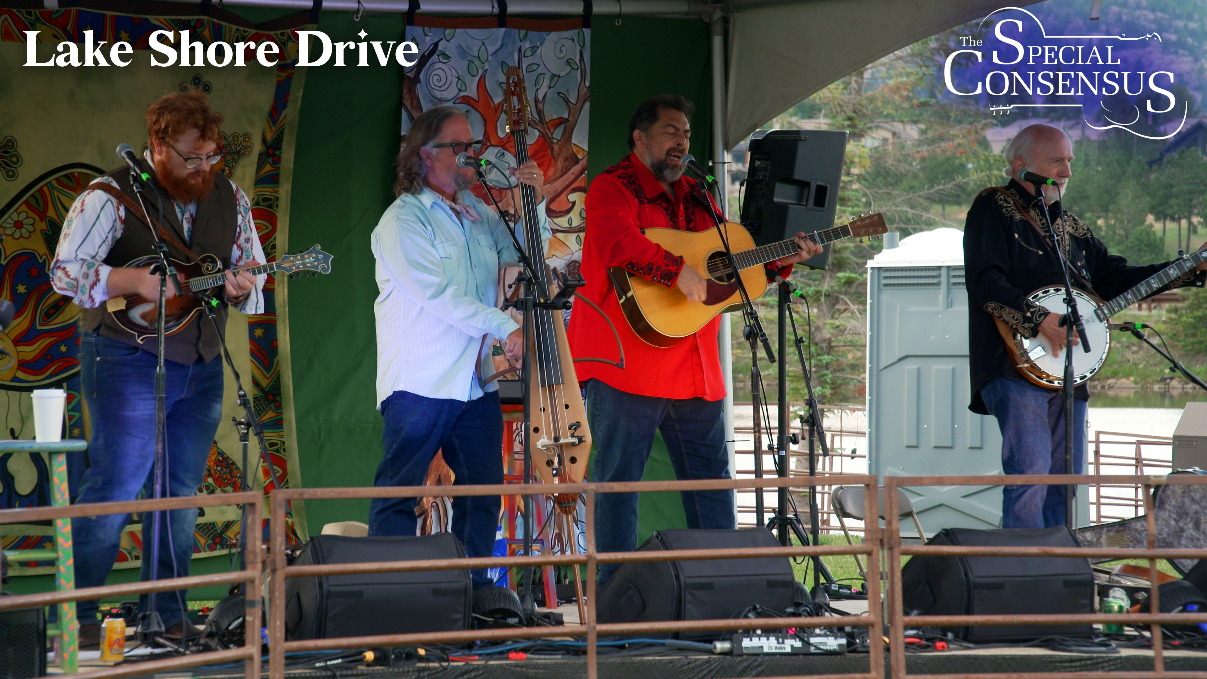 The Special Consensus - Lake Shore Drive