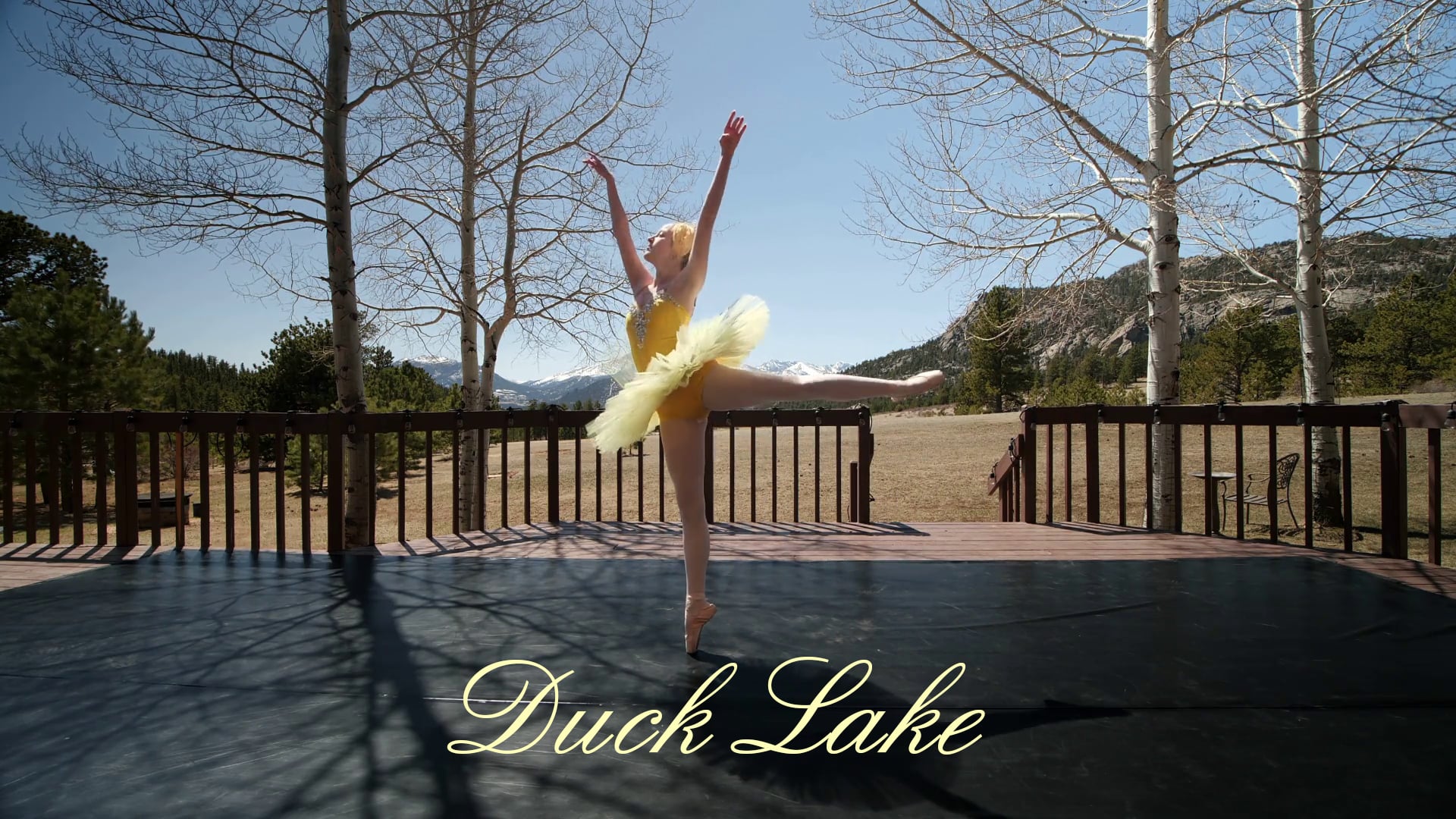 Ballet Renaissance Presents - Duck Lake