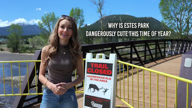 Claire from Estes - Baby Animal Safety