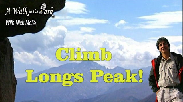 Climb Longs Peak!