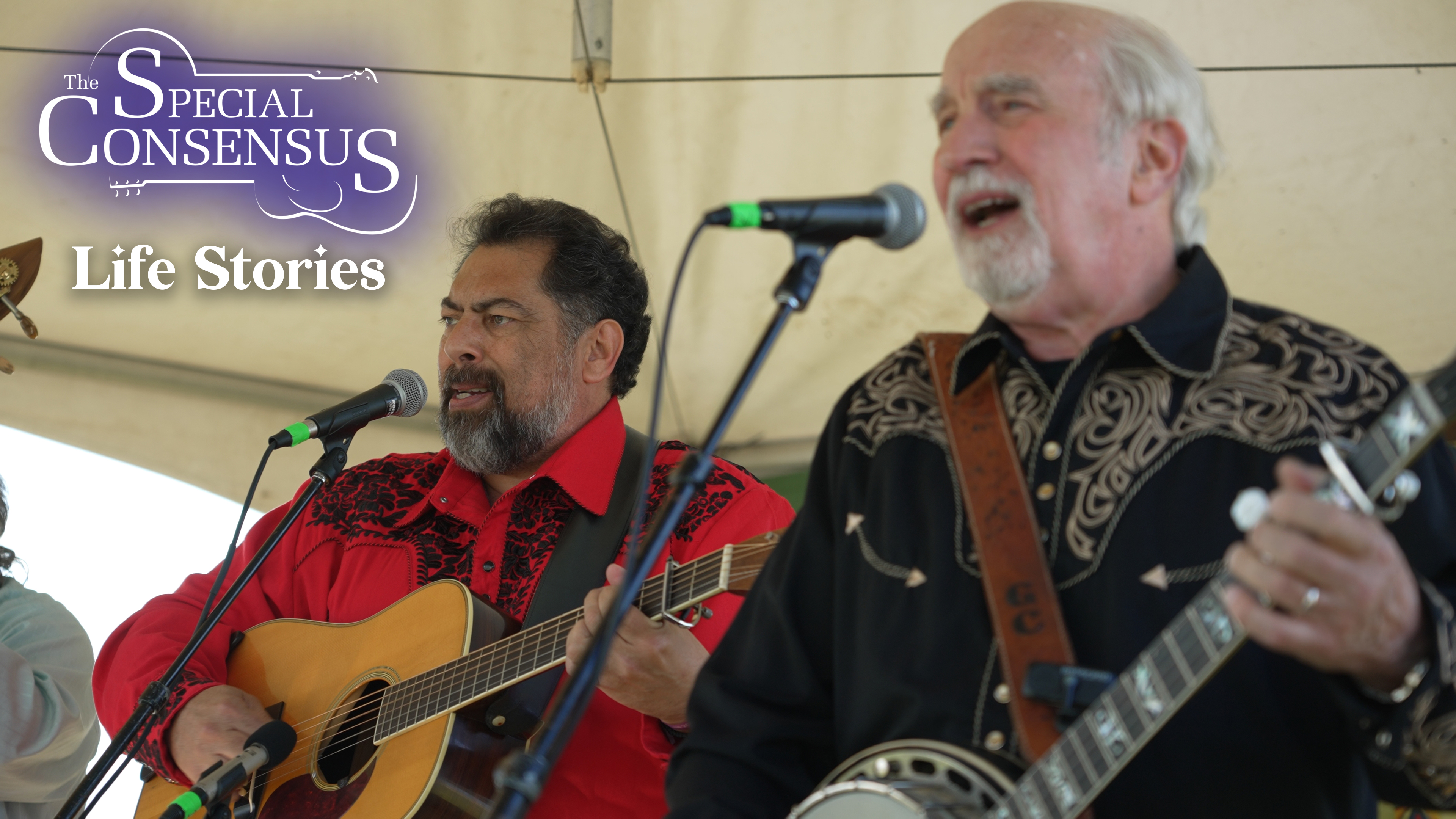 The Special Consensus - Life Stories