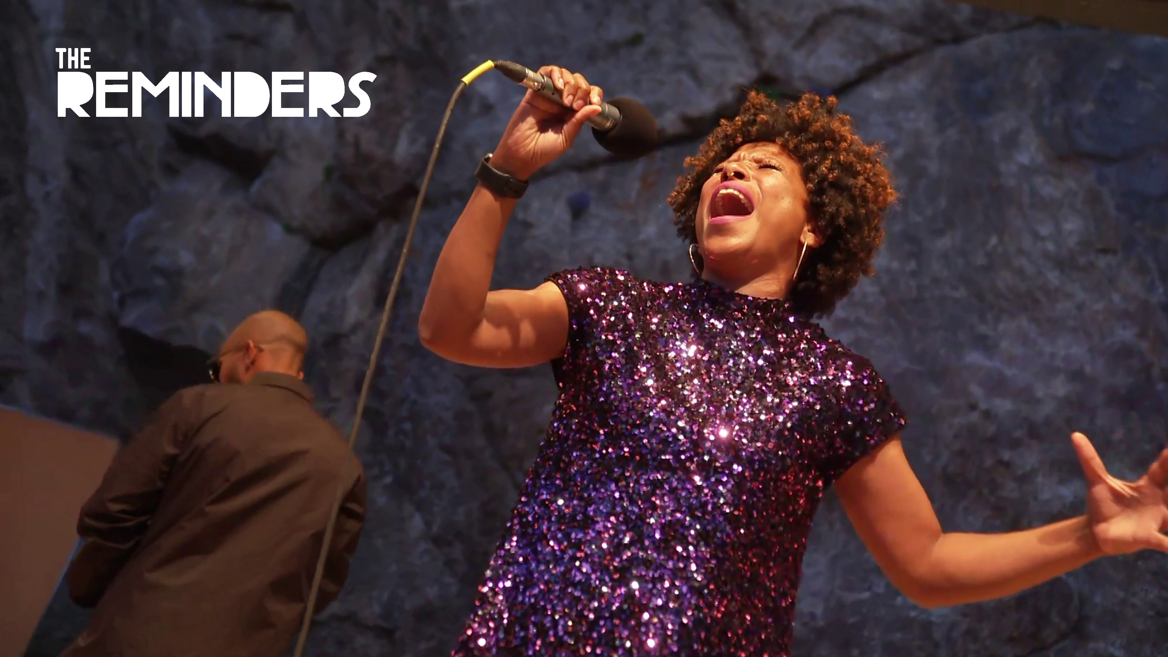 The Reminders live at the 2023 Friends of Folk Festival