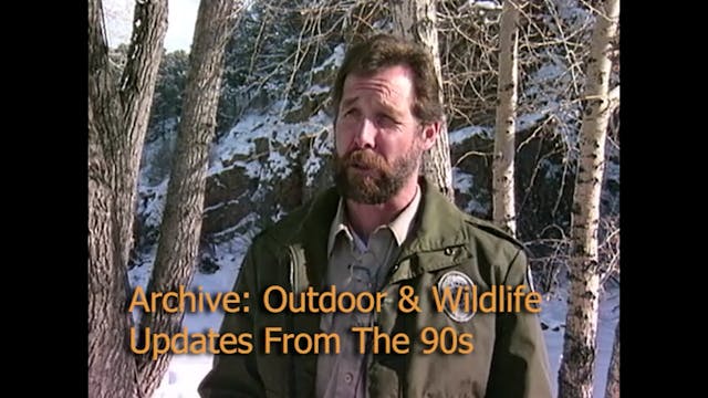 Outdoor & Wildlife Updates in the 90s