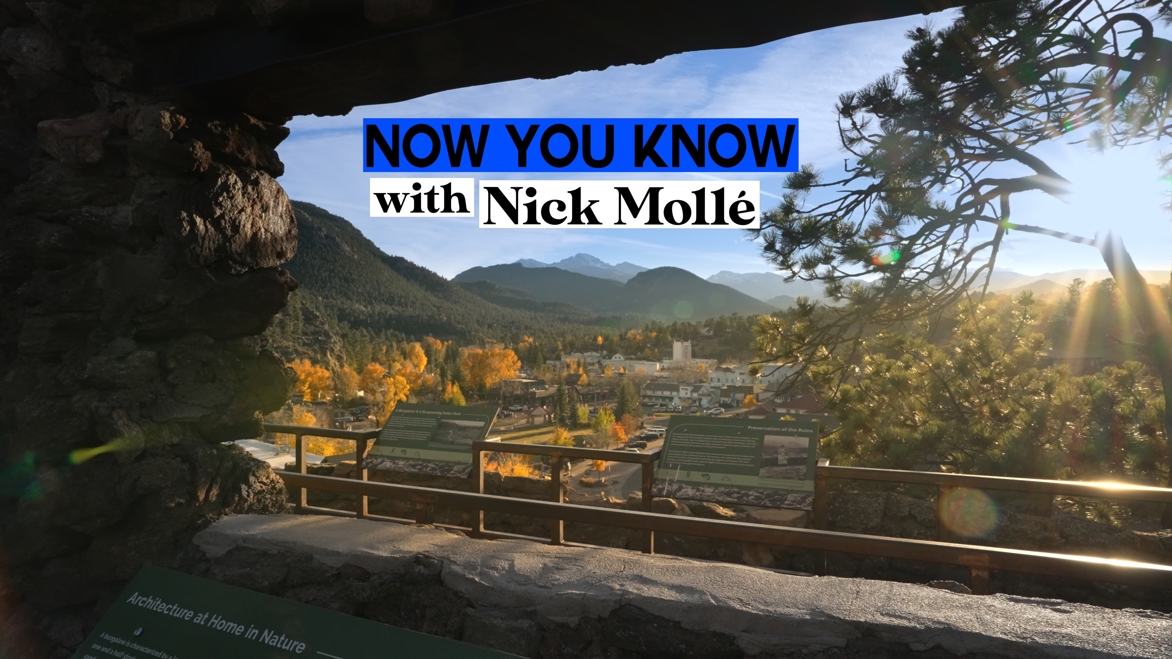 Now You Know - Birch Ruins