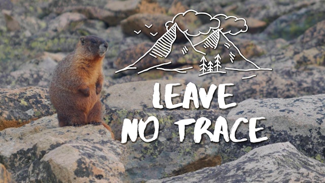 Leave No Trace