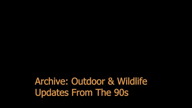 Archive: Ticks 90s