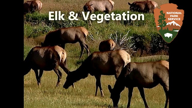 NPS Behind the Scenes: Elk & Vegetation