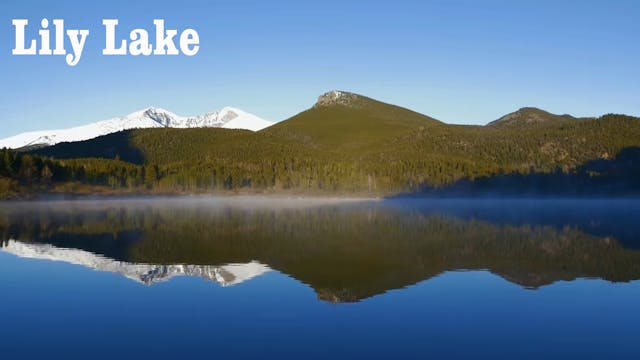 Lily Lake