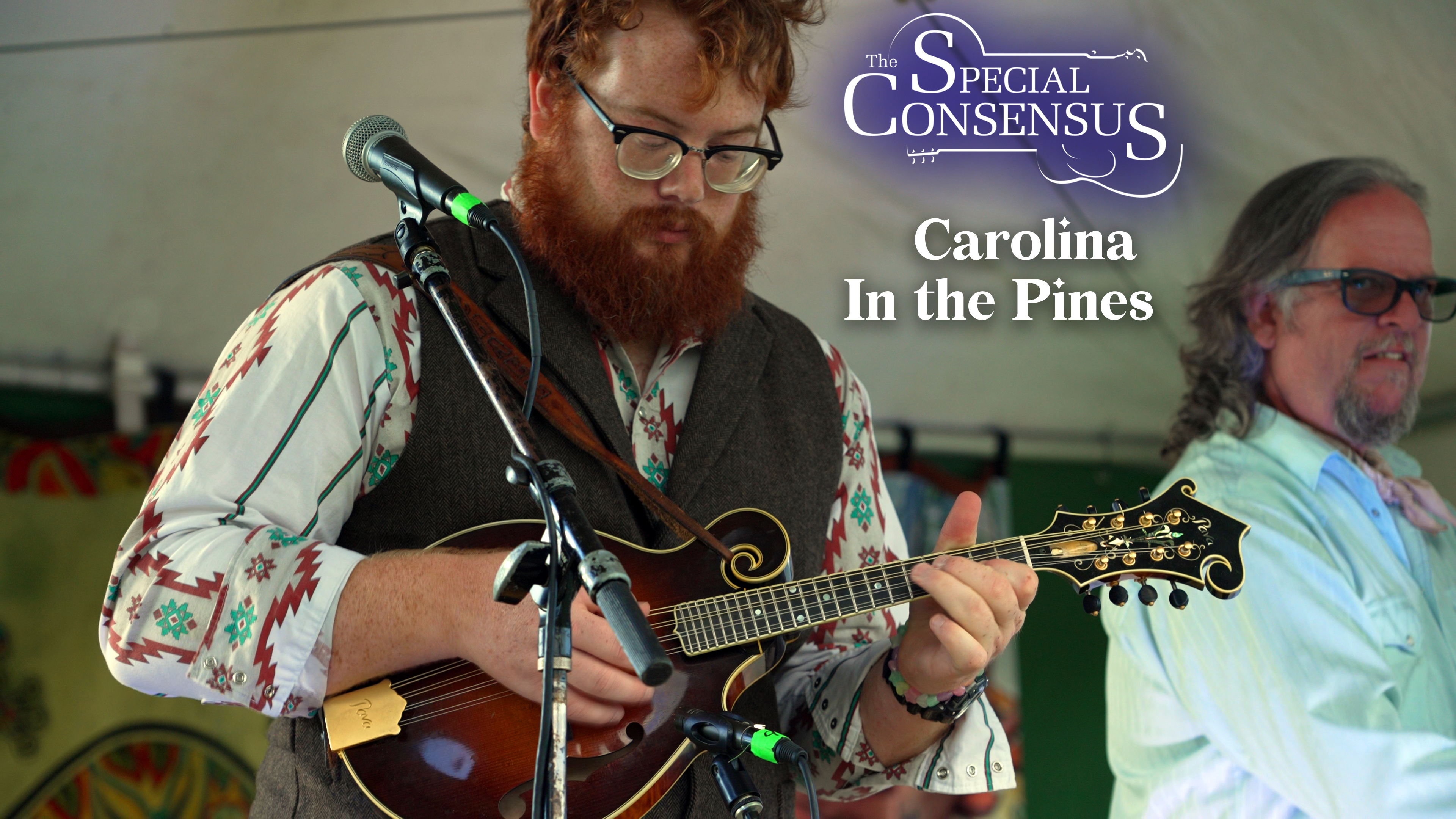 The Special Consensus - Carolina In the Pines