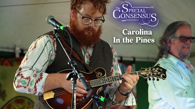 The Special Consensus - Carolina In the Pines