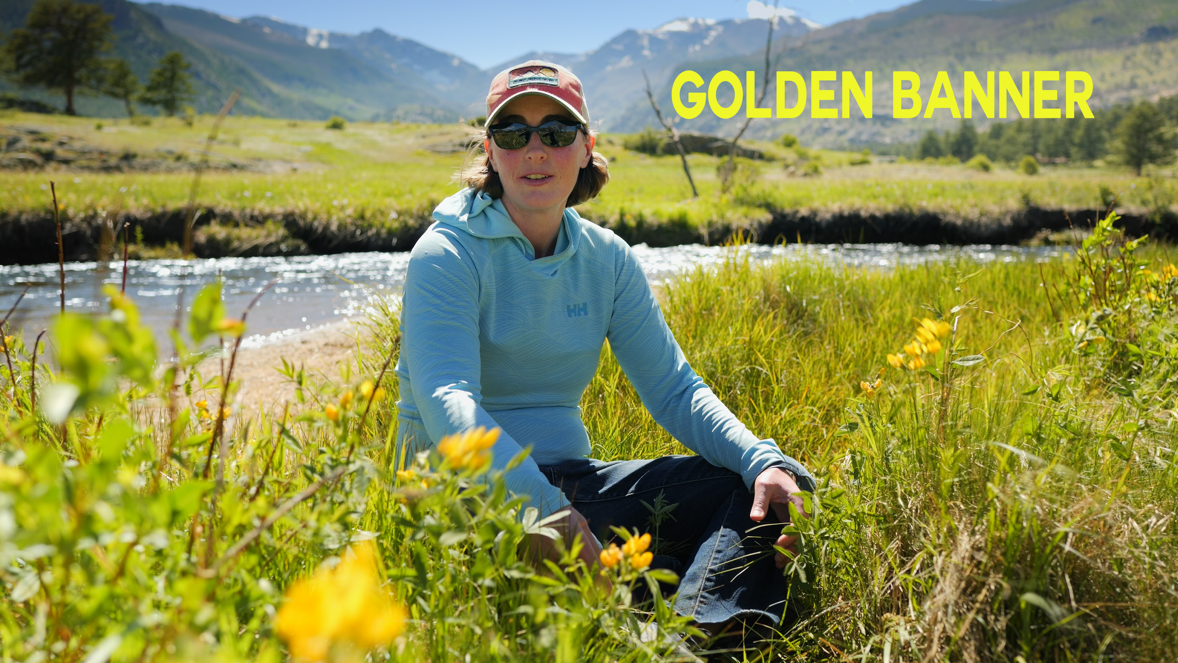 Golden Banner Flower Facts