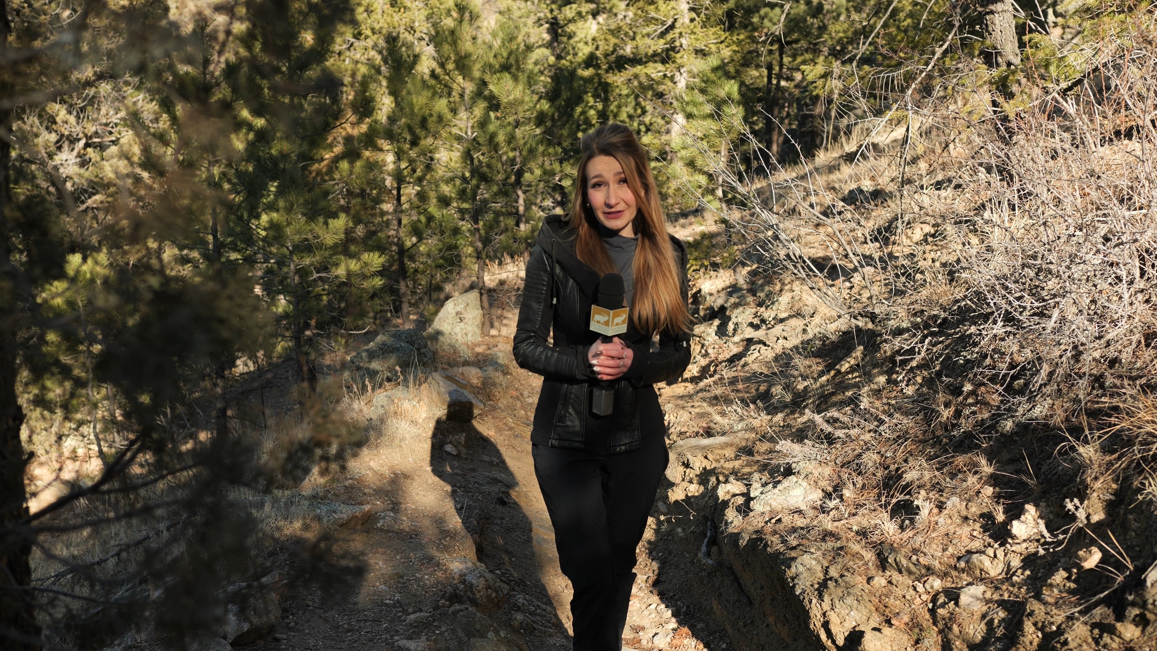 Glen Haven Seeking Answers in Wake of Mountain Lion Attack.