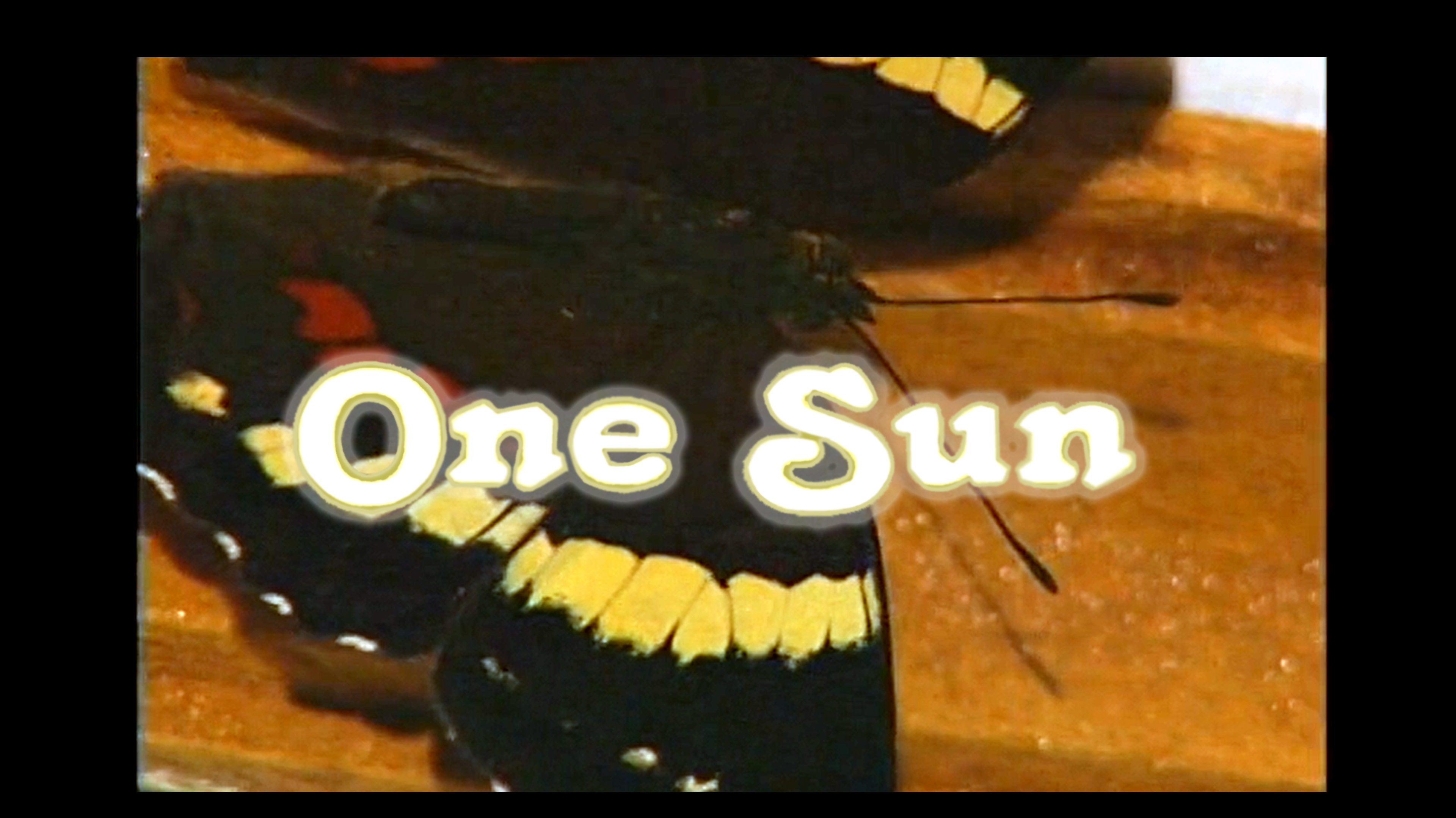 One Sun