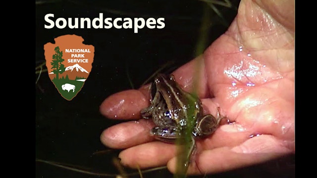 NPS Behind the Scenes: Soundscapes