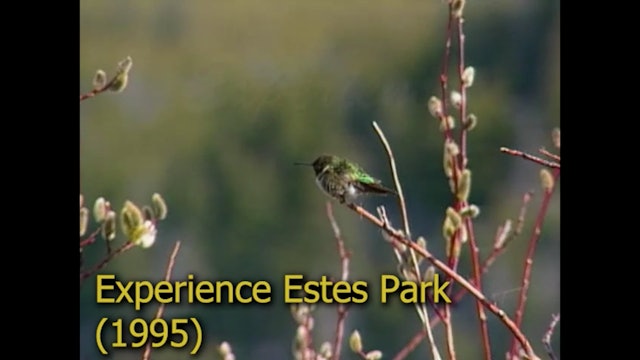 Archive: Experience Estes Park 95