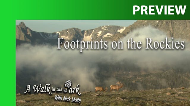 PREVIEW: Footprints on the Rockies