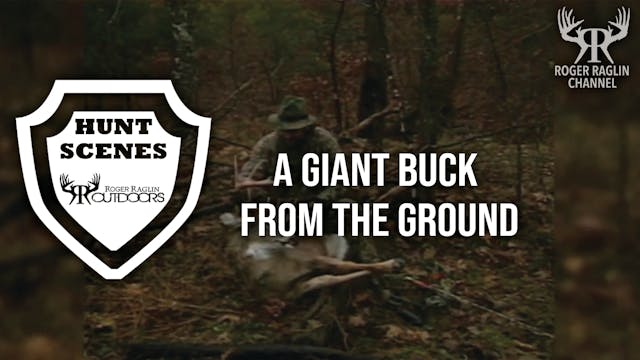 A Giant Buck From the Ground • Hunt S...