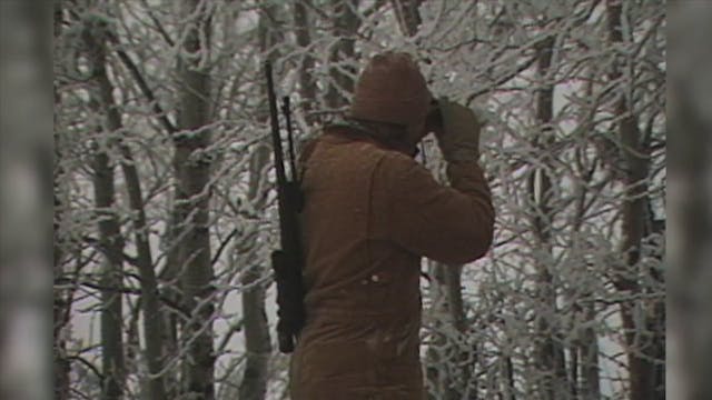 Alberta Buck 1989*