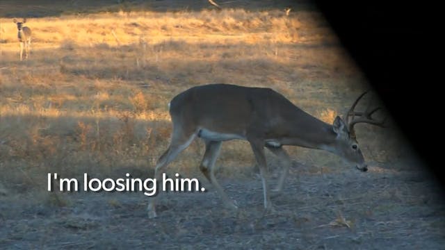 Josh Spines Buck with Crossbow*