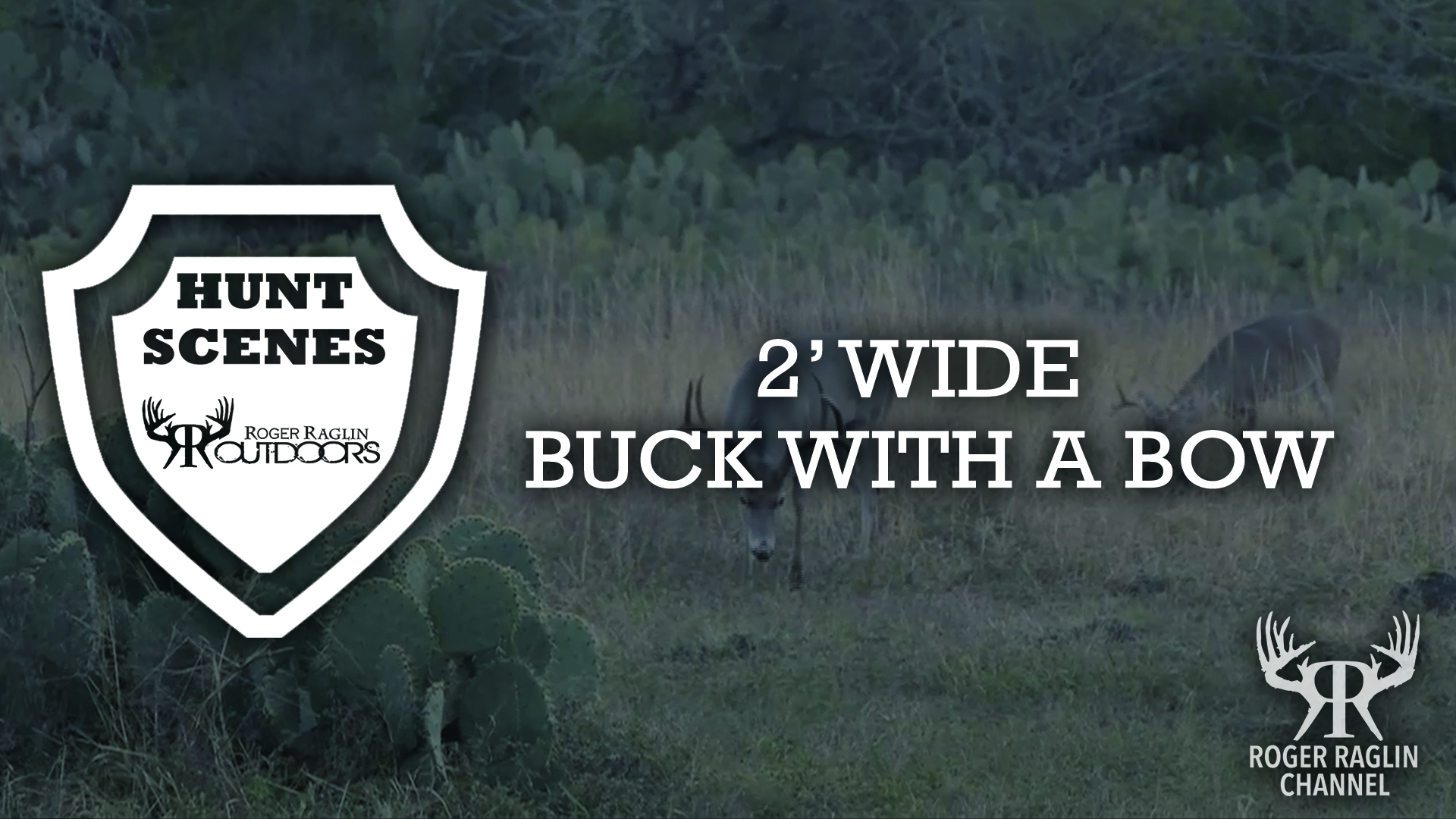 2' Wide Buck With a Bow • Hunt Scenes