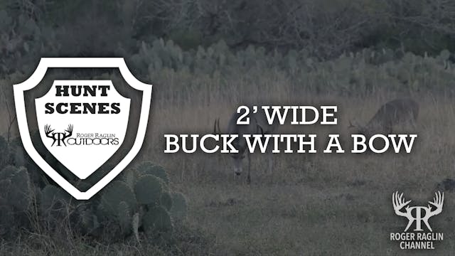 2' Wide Buck With a Bow • Hunt Scenes