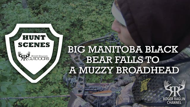 Manitoba Black Bear Falls to a Muzzy ...