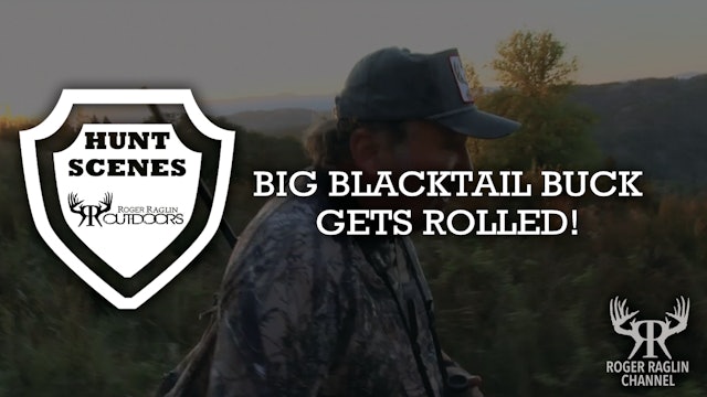 Big Blacktail Buck Gets Rolled • Hunt Scenes