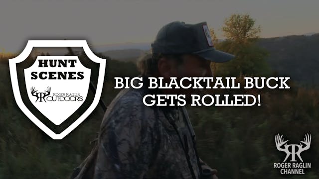 Big Blacktail Buck Gets Rolled • Hunt...