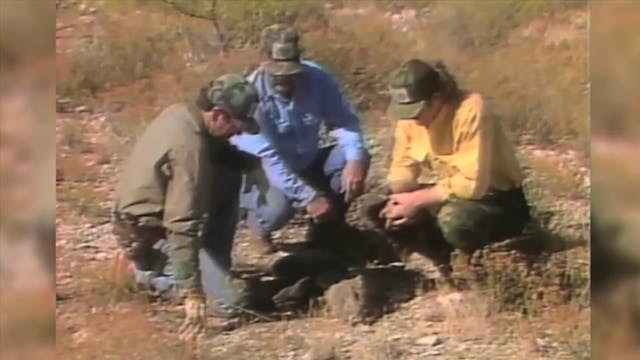 Roger Shoots Javelina in West Texas*