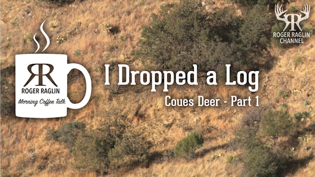 I Dropped a Log - Coues Deer Part 1 • Morning Coffee