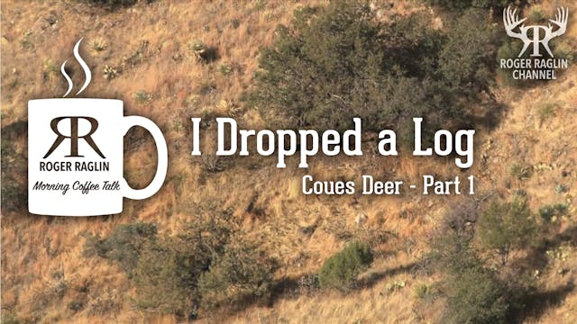 I Dropped a Log - Coues Deer Part 1 •...