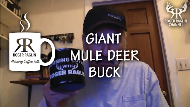 A Giant Mule Deer Buck • Morning Coffee