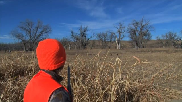 Josh Shoots Pheasants in SD*