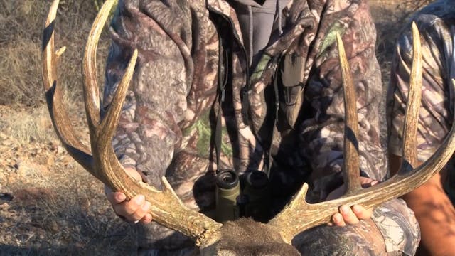 Josh Shoots 3X3 Mulie Mexico*