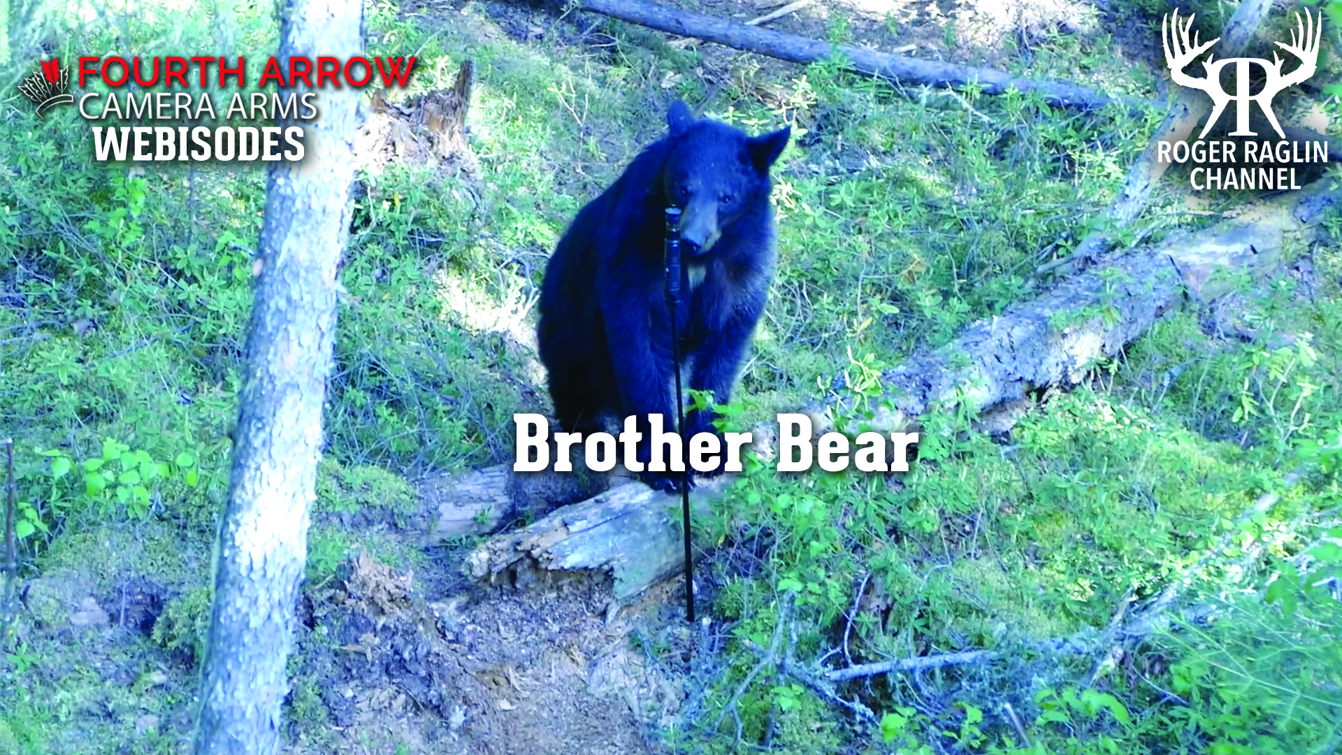 Brother Bear • Fourth Arrow Webisodes