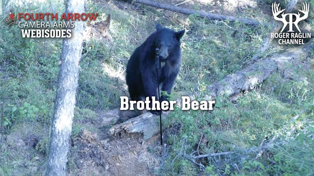 Brother Bear • Fourth Arrow Webisodes