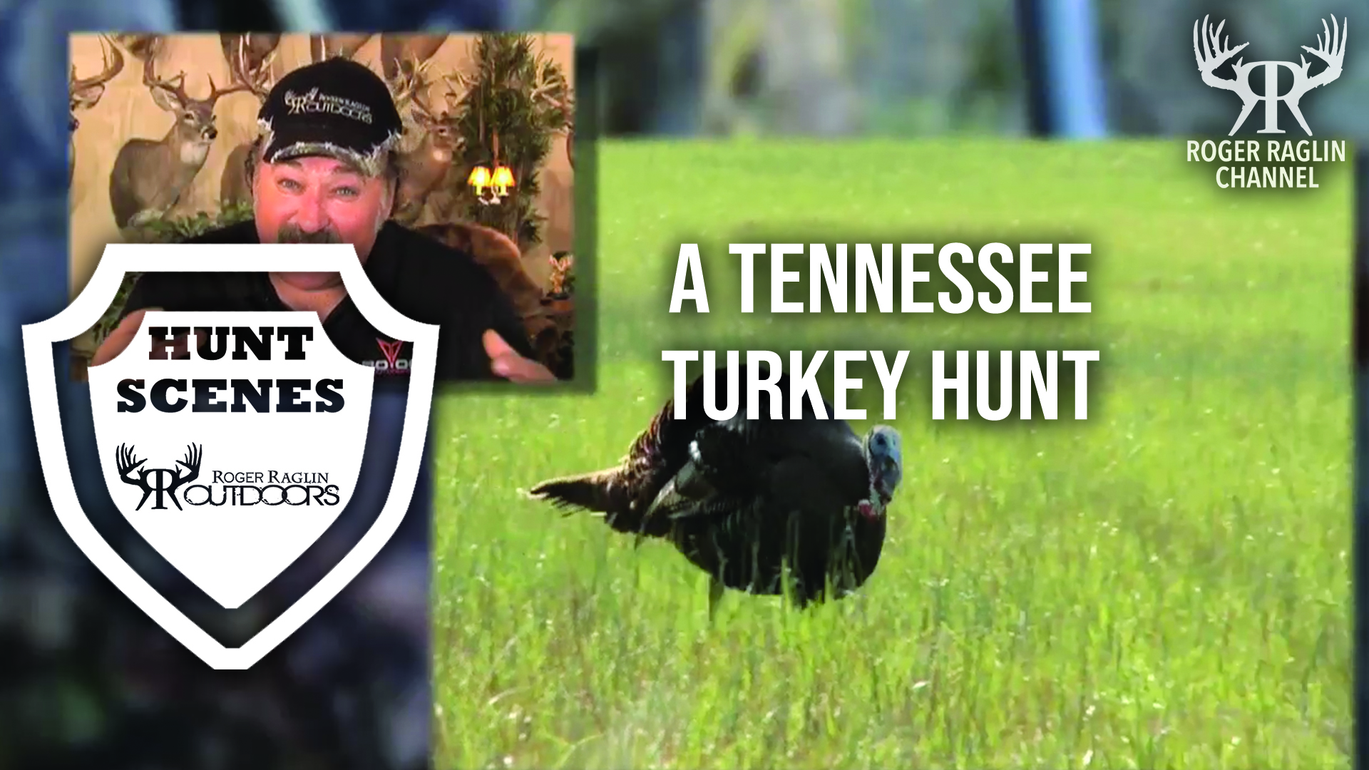 A Tennessee  Turkey Hunt • Hunt Scenes