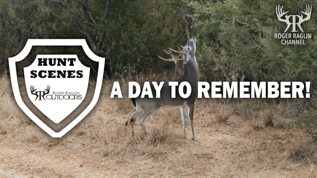 A Day to Remember • Hunt Scenes