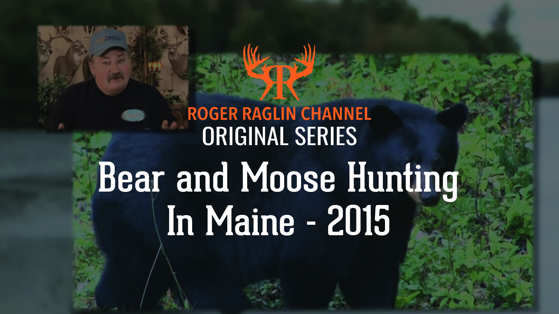 Black Bear and Moose in Maine • 2015
