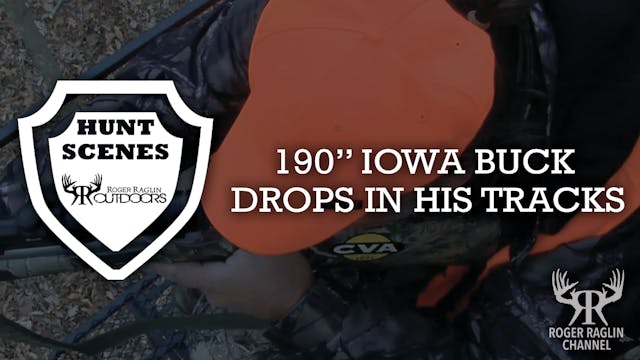 190" Iowa Buck Drops • Hunt Scenes