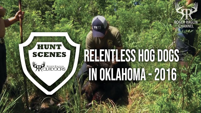 Relentless Hog Dogs in Oklahoma - 201...