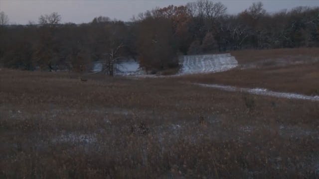 Josh's Brutal Cold Big Buck*