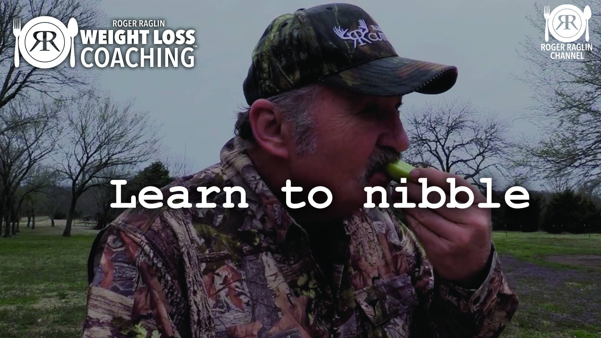 73. Learn to nibble • Weight Loss Coaching