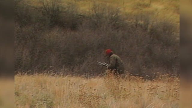 Idaho Rock Throwing Scene*