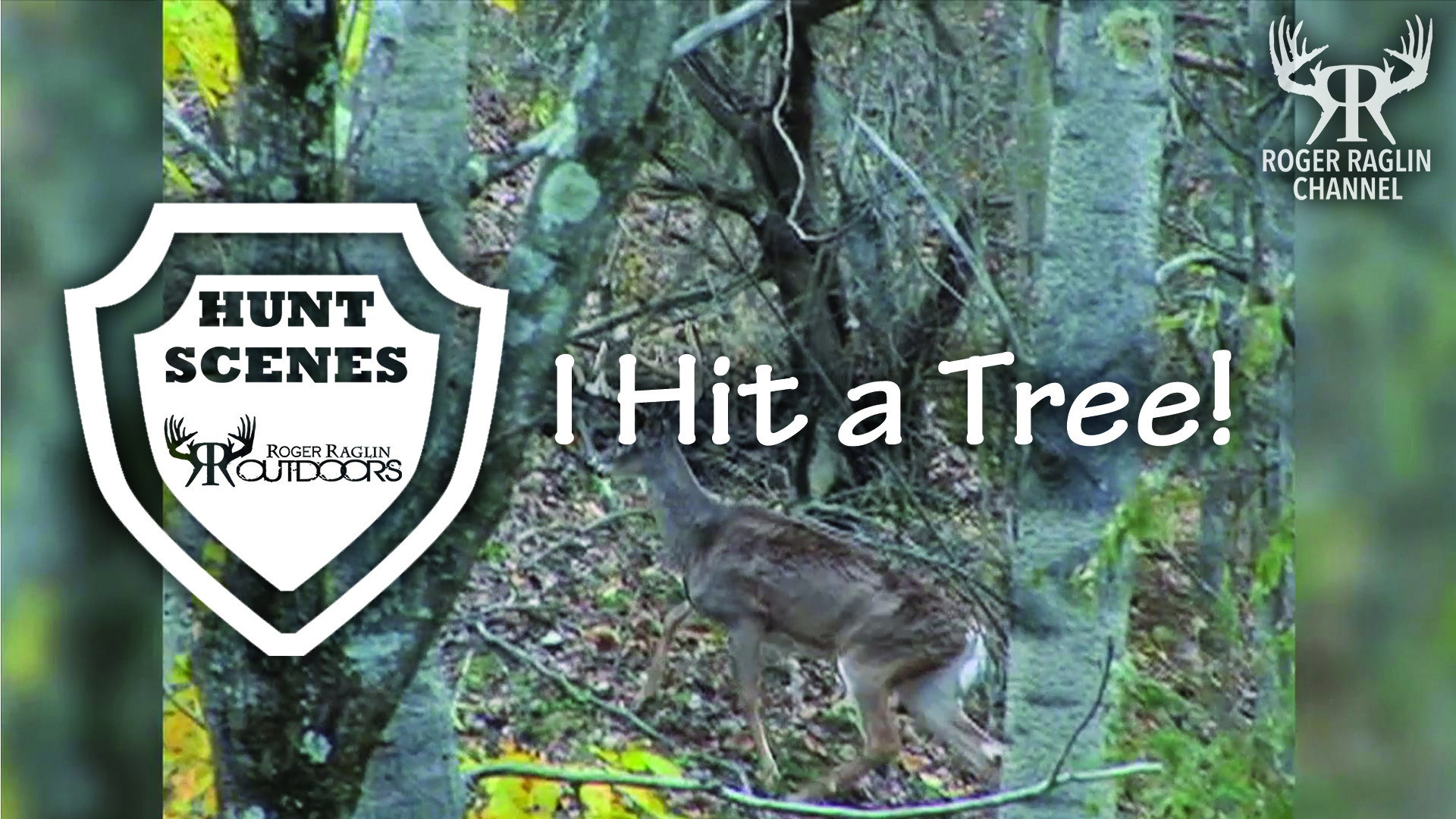 I Hit a Tree! • Hunt Scenes