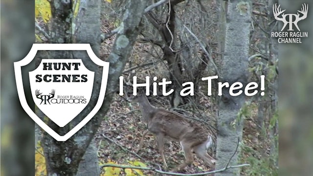 I Hit a Tree! • Hunt Scenes