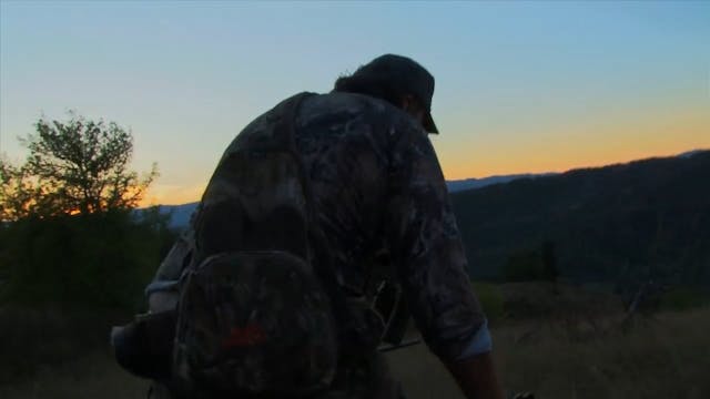 Roger's Best Blacktail Buck*